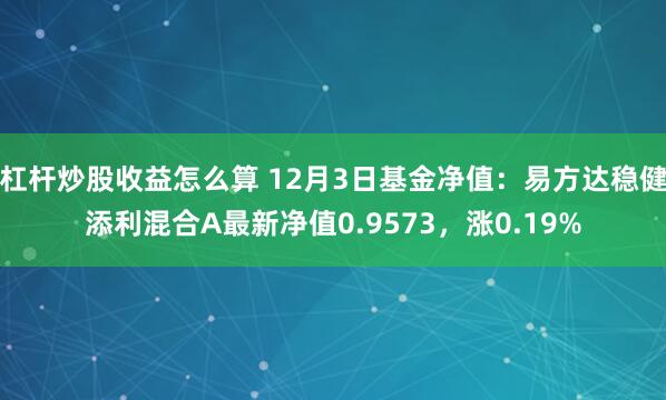 杠杆炒股收益怎么算 12月3日基金净值：易方达稳健添利混合A最新净值0.9573，涨0.19%