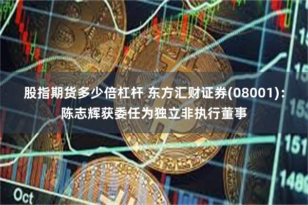 股指期货多少倍杠杆 东方汇财证券(08001)：陈志辉获委任为独立非执行董事