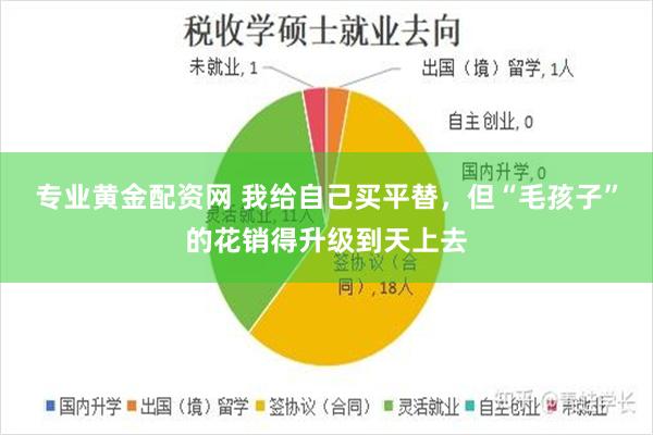专业黄金配资网 我给自己买平替，但“毛孩子”的花销得升级到天上去