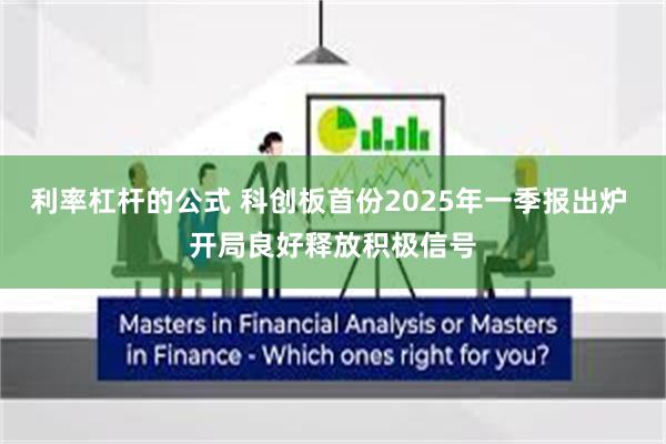 利率杠杆的公式 科创板首份2025年一季报出炉 开局良好释放积极信号