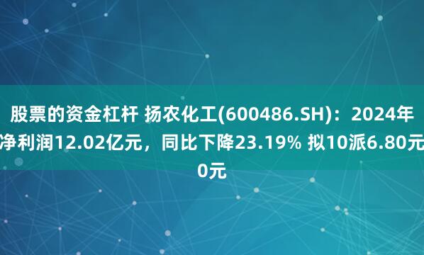 股票的资金杠杆 扬农化工(600486.SH)：2024年净利润12.02亿元，同比下降23.19% 拟10派6.80元