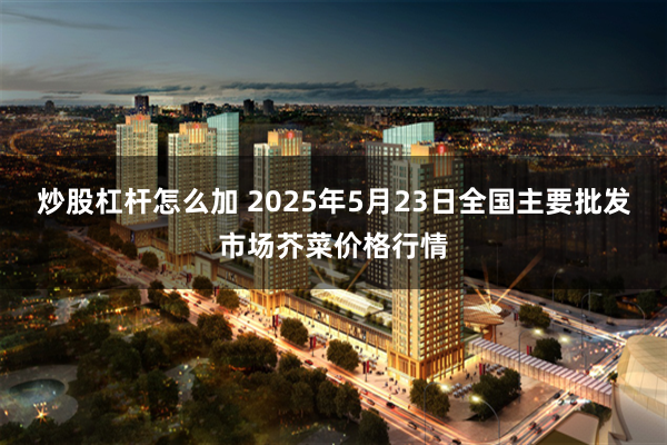 炒股杠杆怎么加 2025年5月23日全国主要批发市场芥菜价格行情