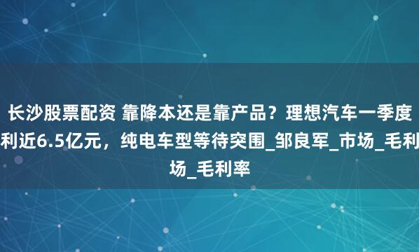 长沙股票配资 靠降本还是靠产品？理想汽车一季度净利近6.5亿元，纯电车型等待突围_邹良军_市场_毛利率
