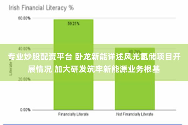 专业炒股配资平台 卧龙新能详述风光氢储项目开展情况 加大研发筑牢新能源业务根基