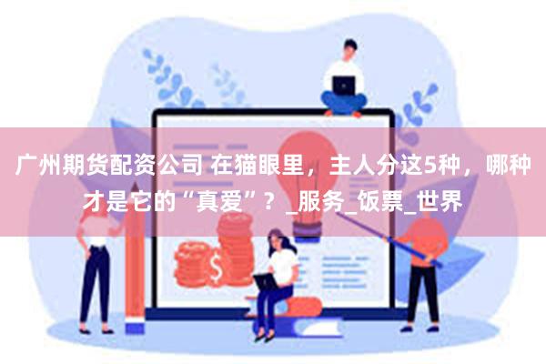广州期货配资公司 在猫眼里，主人分这5种，哪种才是它的“真爱”？_服务_饭票_世界