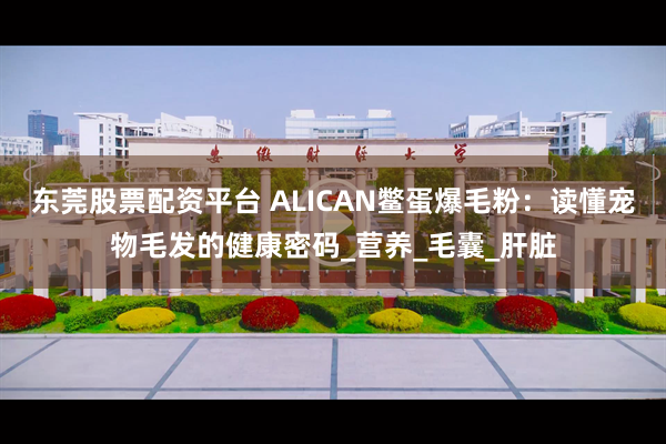 东莞股票配资平台 ALICAN鳖蛋爆毛粉：读懂宠物毛发的健康密码_营养_毛囊_肝脏