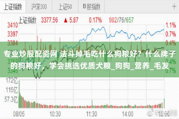 专业炒股配资网 法斗掉毛吃什么狗粮好？什么牌子的狗粮好，学会挑选优质犬粮_狗狗_营养_毛发