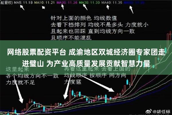 网络股票配资平台 成渝地区双城经济圈专家团走进璧山 为产业高质量发展贡献智慧力量